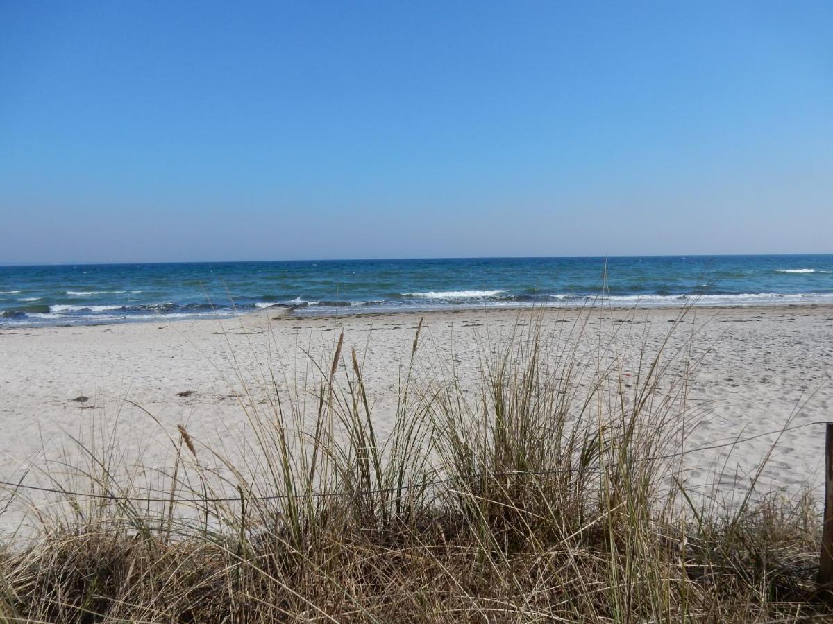 Exklusive Familienfreundliche Ferienwohnung Im Haus Aalbeek Timmendorfer Strand Esterno foto